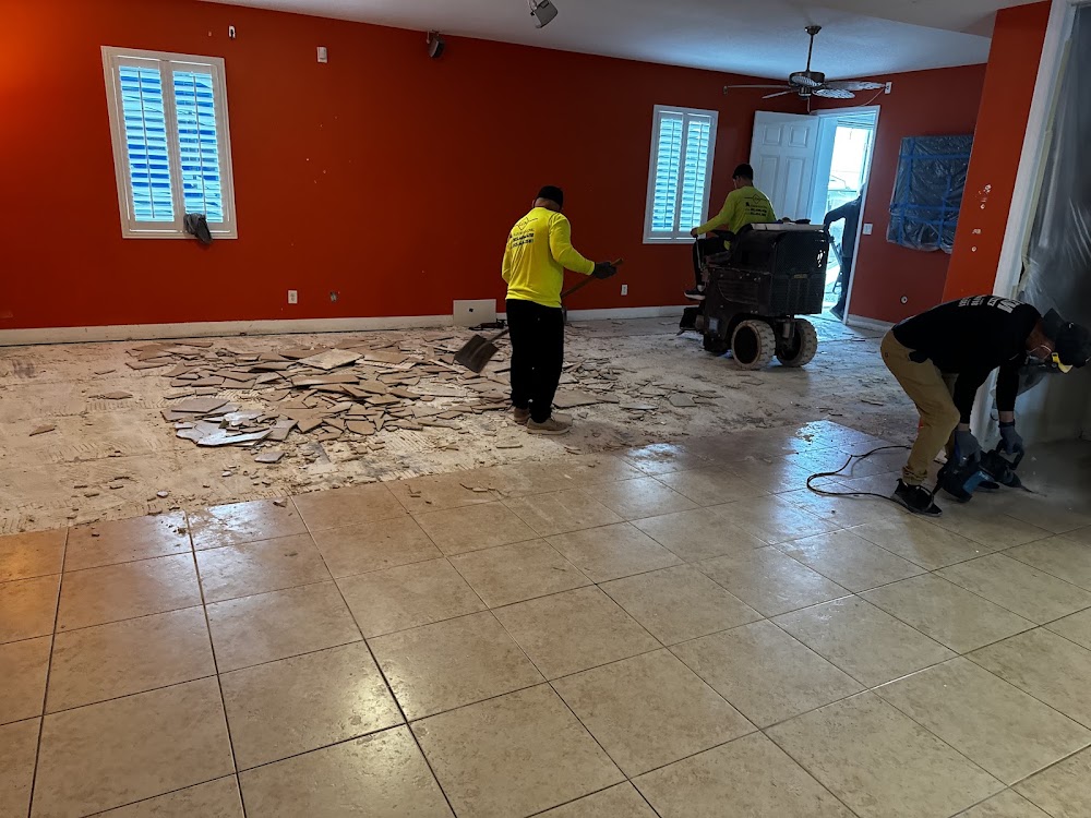 LCM Floor Removal Inc